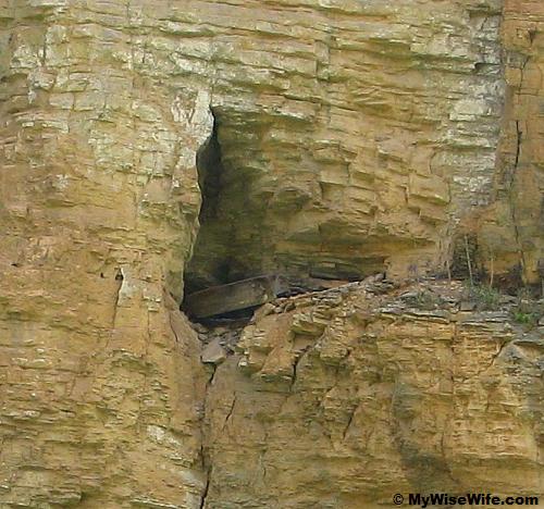 A crop of the above picture of same cliff - found it? A crop of the above picture of same cliff - found it?