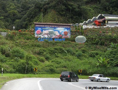 Cactus Point in Cameron Highlands