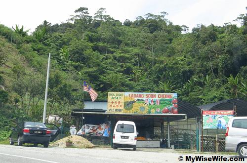 Wild Honey Farm
