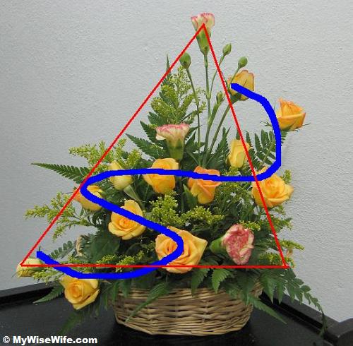 Spiraling (blue line) towards the apex (Triangular Shape) Spiraling (blue line) towards the apex (Triangular Shape)