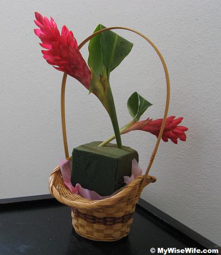 Focal view - Red ginger torch