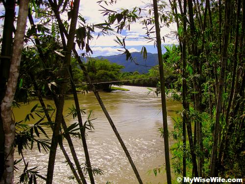 A peep through Kiulu River A peep through Kiulu River