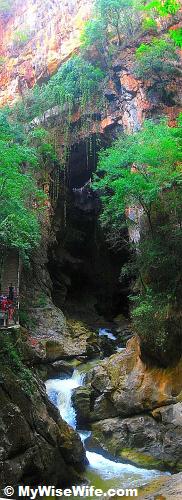 Water, Cave and Flora at its BEST!