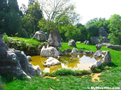 Can you spot the Water Buffalo (body half inside water)? Can you spot the Water Buffalo (body half inside water)?