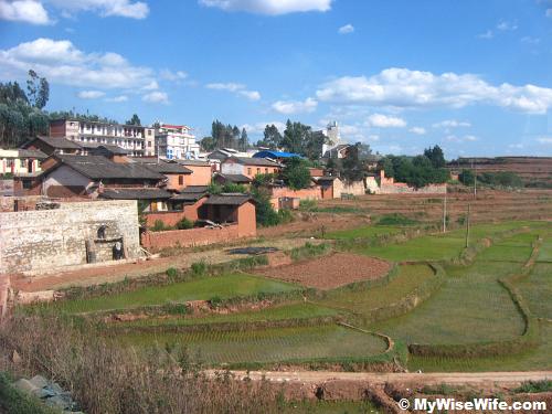 Along the journey to Dali, beautiful homes and green paddy fields