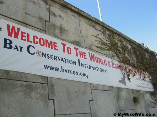Austin - The World's Largest Urban Bat Colony 
