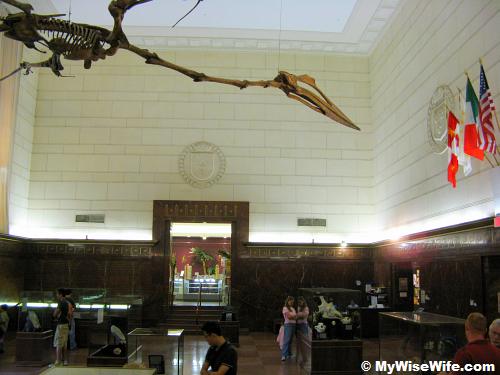 Texas Pterosaur Texas Pterosaur