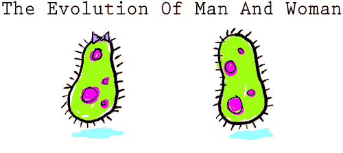 Gif Animado da Evolução do Homem e da Mulher 