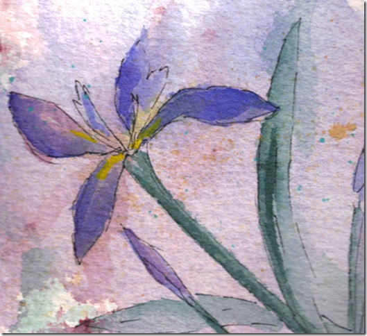 Single Iris watercolor painting