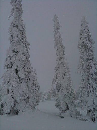 [Image: IMG_0203.JPG]