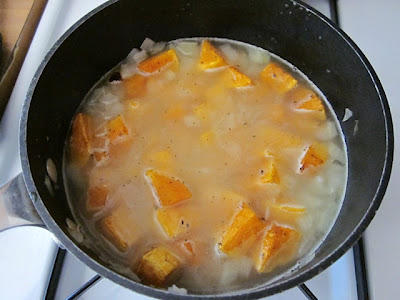 bouillon and squash
