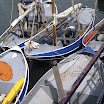 IMAG0065.jpg