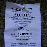 "In Gradina Botanica,
Intr-o duminica..."
