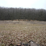 Outdoor walk near Cluj-Napoca