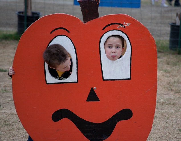 IMG_7753 IMG_7753