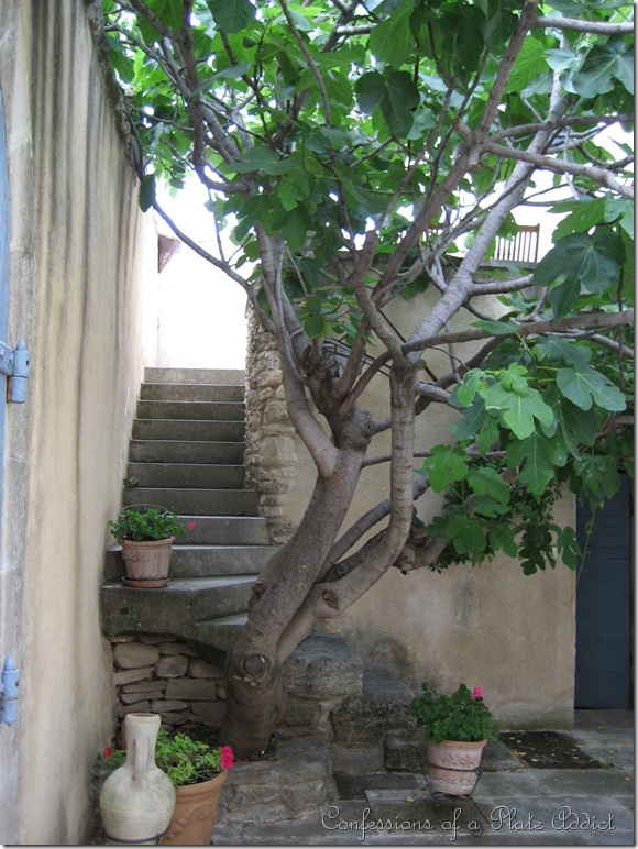 IMG_0097 IMG_0097