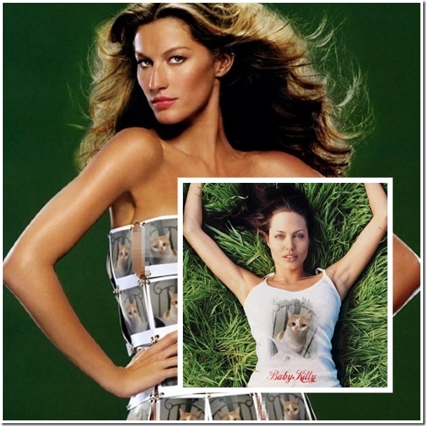 fashion fashion