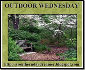 Outdoor_Wednesday_logo