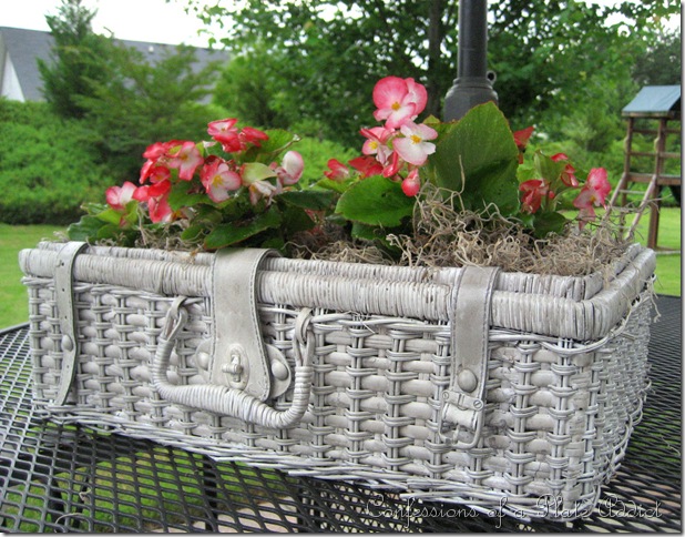 shabby basket planter shabby basket planter