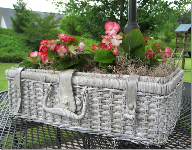 shabby  basket planter