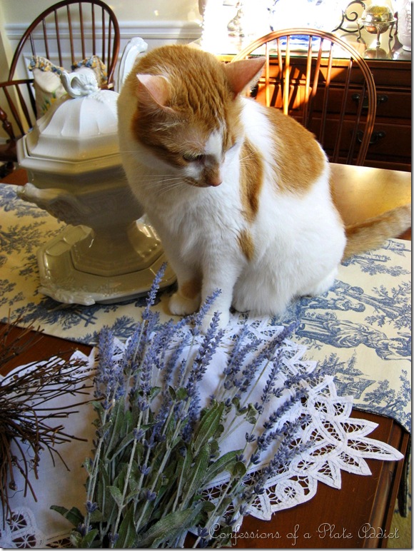 IMG_2635 IMG_2635
