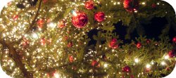 Thumbnail image for Fun Christmas Downloads for Kids