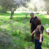gita nella natura fiori rarissimi