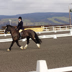 Winter Area 1 dressage.