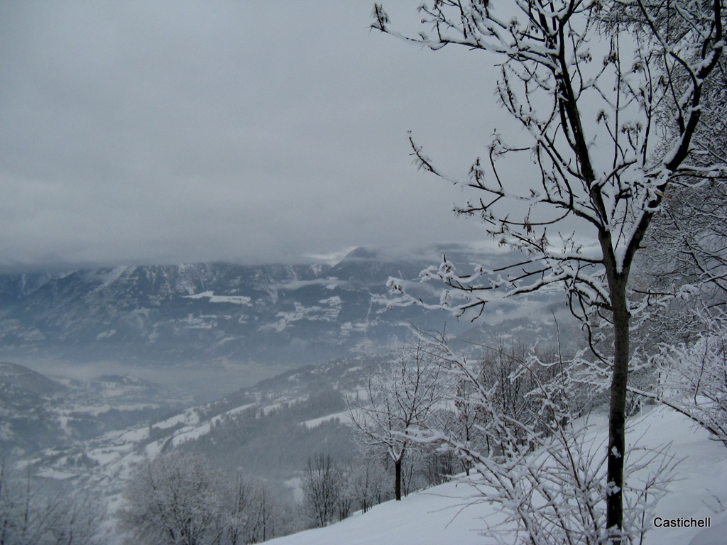 [IMG_62664.jpg]