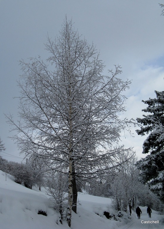 [IMG_62694.jpg]