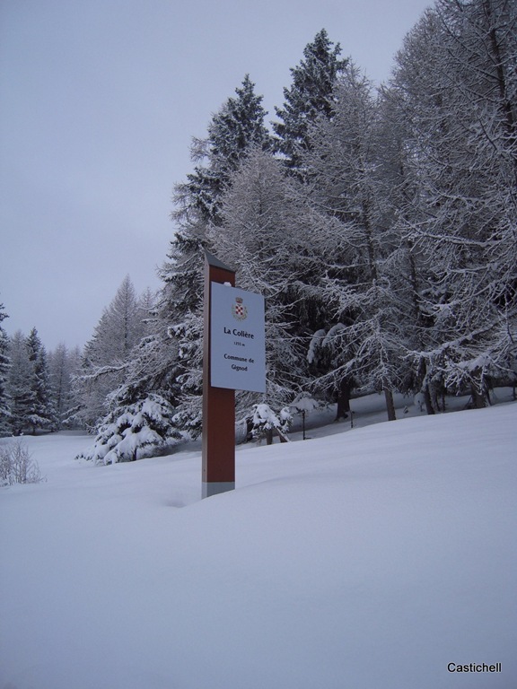 [DSCN08335.jpg]