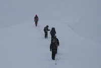IMG_5237.JPG