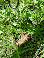 DSC02813.JPG