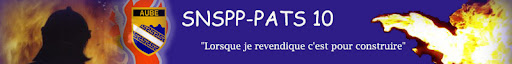 SNSPP-PATS 10