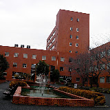 Togaku