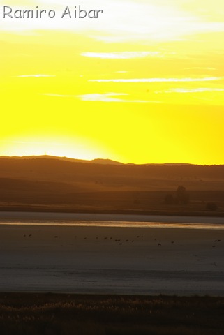 [amarillo[9].jpg]