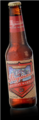 StegHolidayWarmer