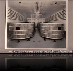 LionBreweryFermentationStegmaierBrewery