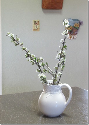 pitcher blossoms2