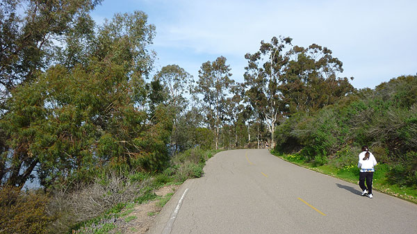 Lake Miramar