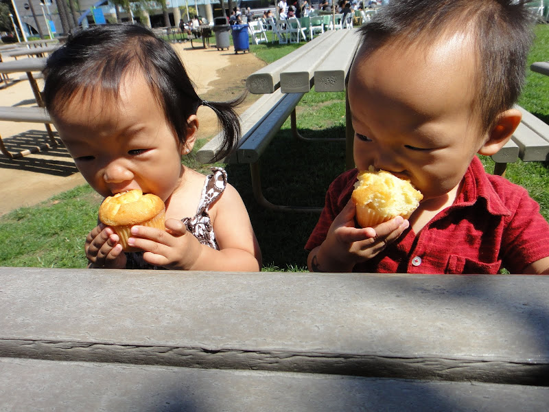 Corn muffins