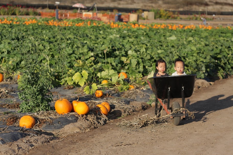 Aidan and Brooke at Tanaka Farms