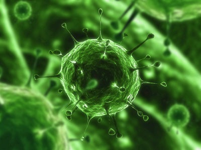 [virus[11].jpg]