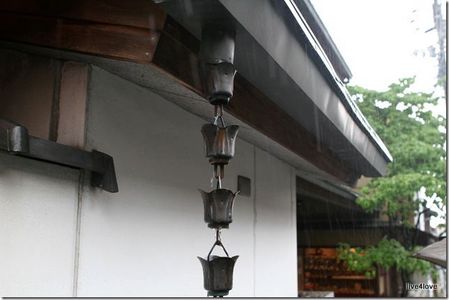 IMG_9845 IMG_9845