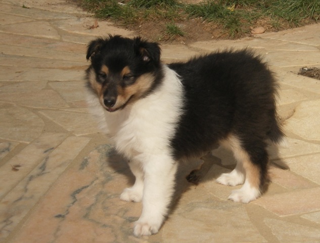 [IMGP02794.jpg]
