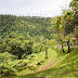 _MG_2374.jpg, Jardin de Balata, Martinique, mai 2009