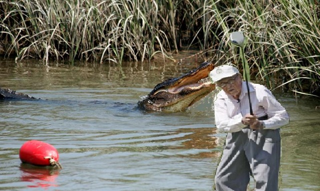 [gator2[3].jpg]