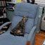 DSC_0088.JPG