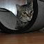 DSC_0043.JPG