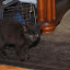 DSC_0879.JPG